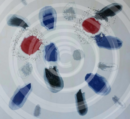 LA DANZA DEI SOGNI - ANDREOLI MANUELA